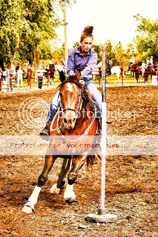 Getting Dramatic The Horse Forum